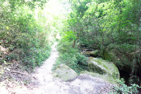 月の輪滝 20240719-58