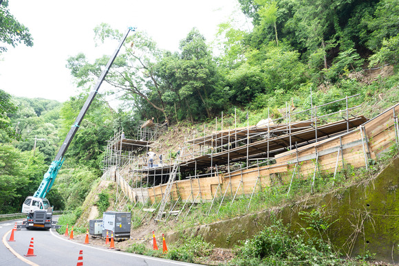 磐船トンネル横の崖 2024070310