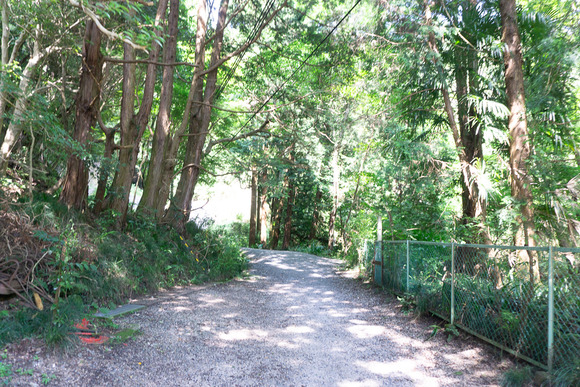 月の輪滝 20240719-8