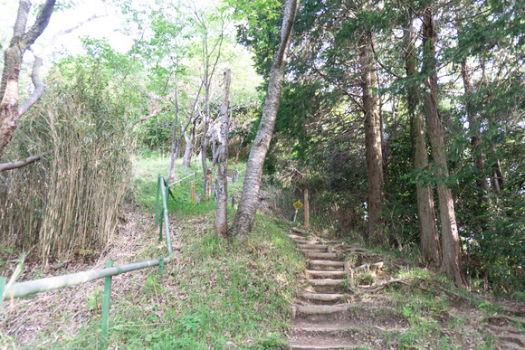 交野山 20250503-19