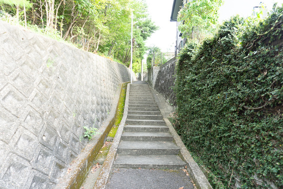 妙見東の坂道 20240825-4