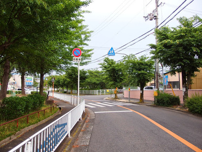 P5274068