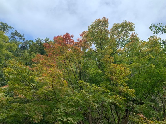 LINE_ALBUM_211023_38