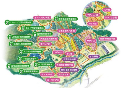 私市植物園園内MAP