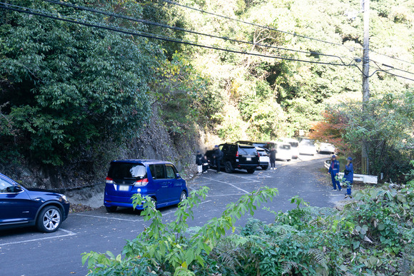 ほしだ園地 紅葉 20241130-11