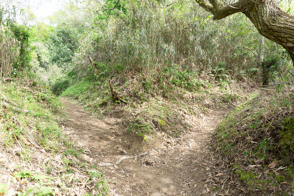 日高山の登山 2024041714