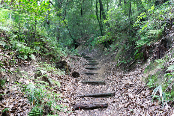 龍王山 2024062140