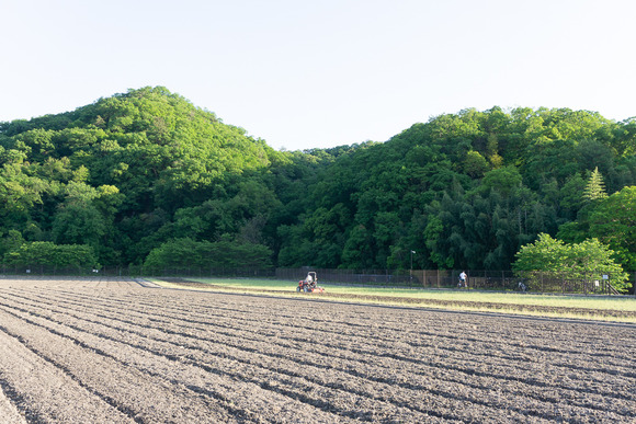 私市の田んぼ 202405031