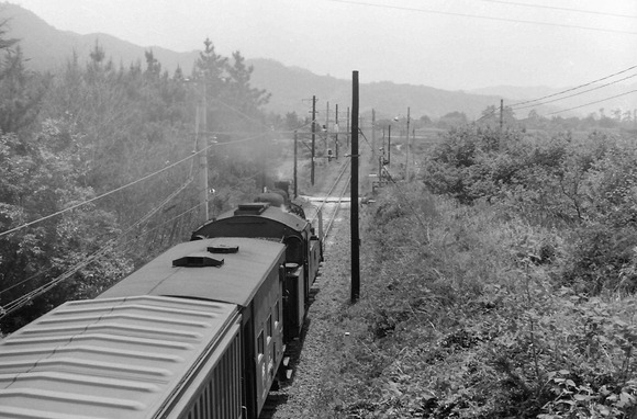 273944093_4546115912160496_2715712911524657113_n