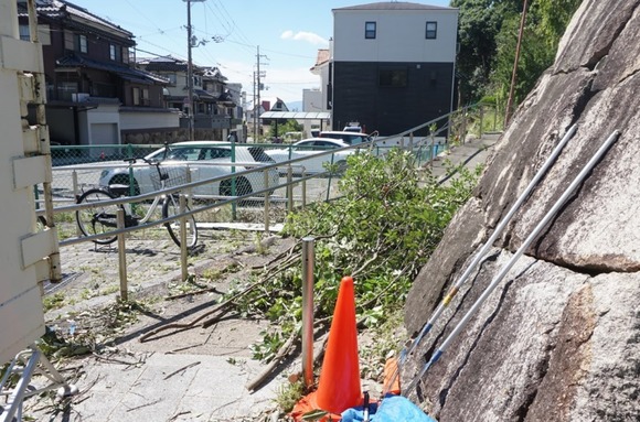 星田公園 20240705-2