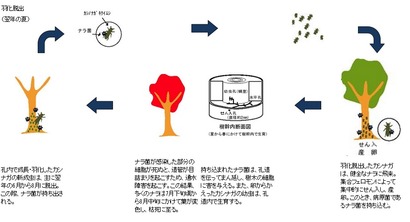 林野庁ホームページ