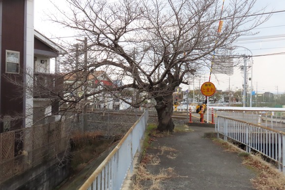 275436460_730139854776734_5171153460365406233_n