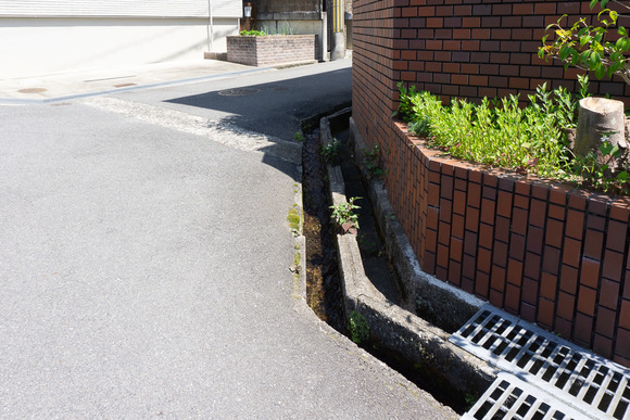 私市の用水路 2024052110