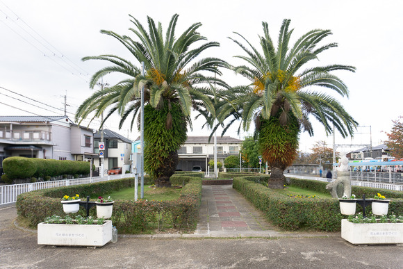 郡津駅 公衆電話 20241121-8