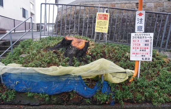 ゴミステーション 2025年12月-1