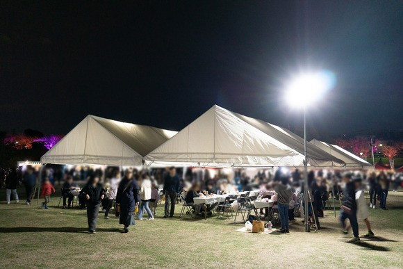 桜と光の舞い 飲食 20250329-5