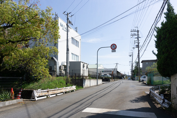 幾野のシラサギ 202404107