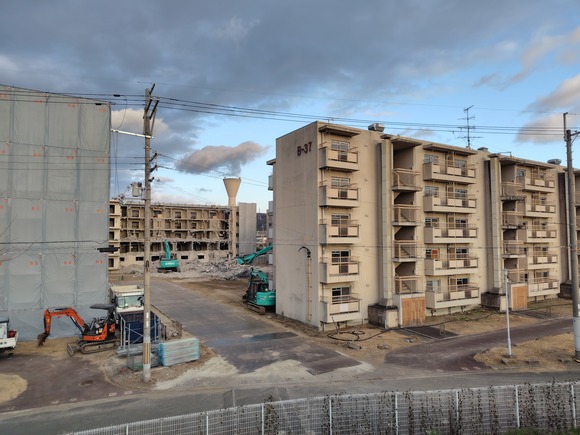 梅が枝団地 20250125-5