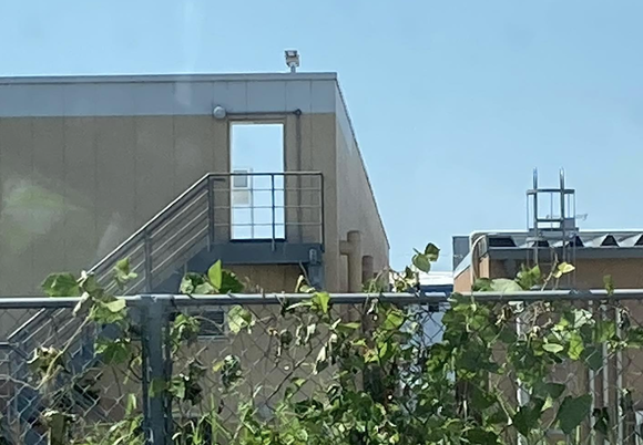 スクリーンショット 2022-06-06 23.45.55