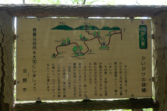 龍王山 2024062127