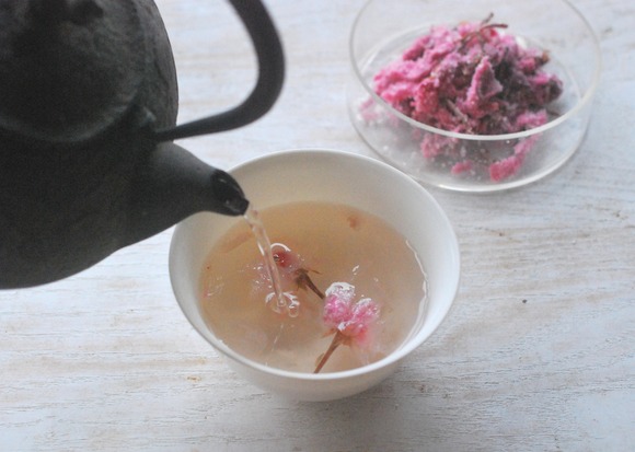 食べるカタノ歳時記　桜21 soranosato　