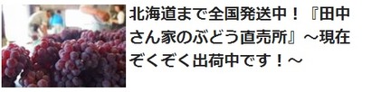 ぶどう