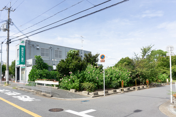 藤が尾の花 20240919-7