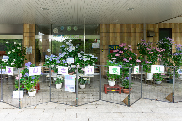 寝屋川公園 20250615-21