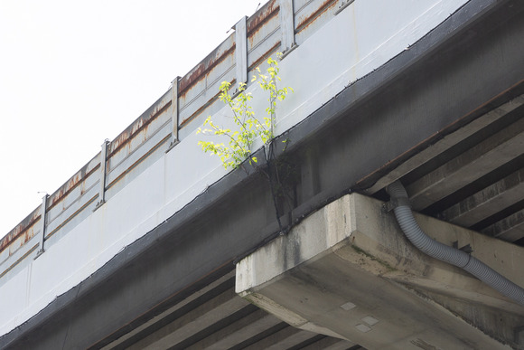 梅が枝交差点 202406194