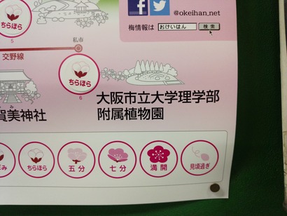 IMG_20150218_102803[1]