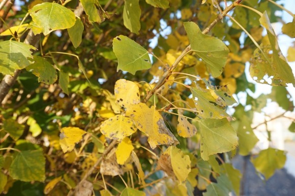 松塚公園 20251130-2