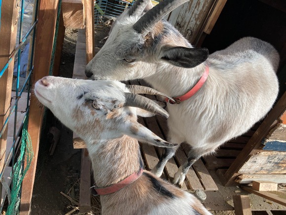 276969719_285329100433960_5174957237947028763_n