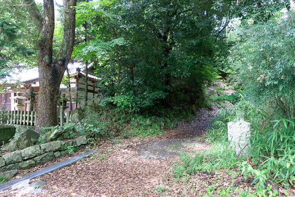 龍王山 2024062112