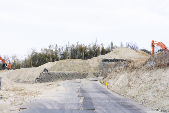 南星台の崖地 20250131-6