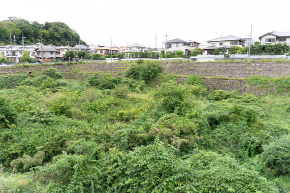 妙見東 20240927-10