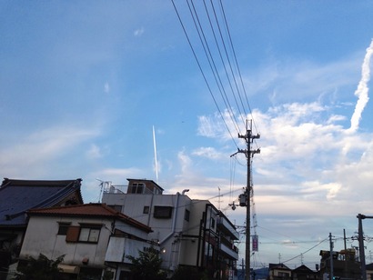 IMG_0830 (2)