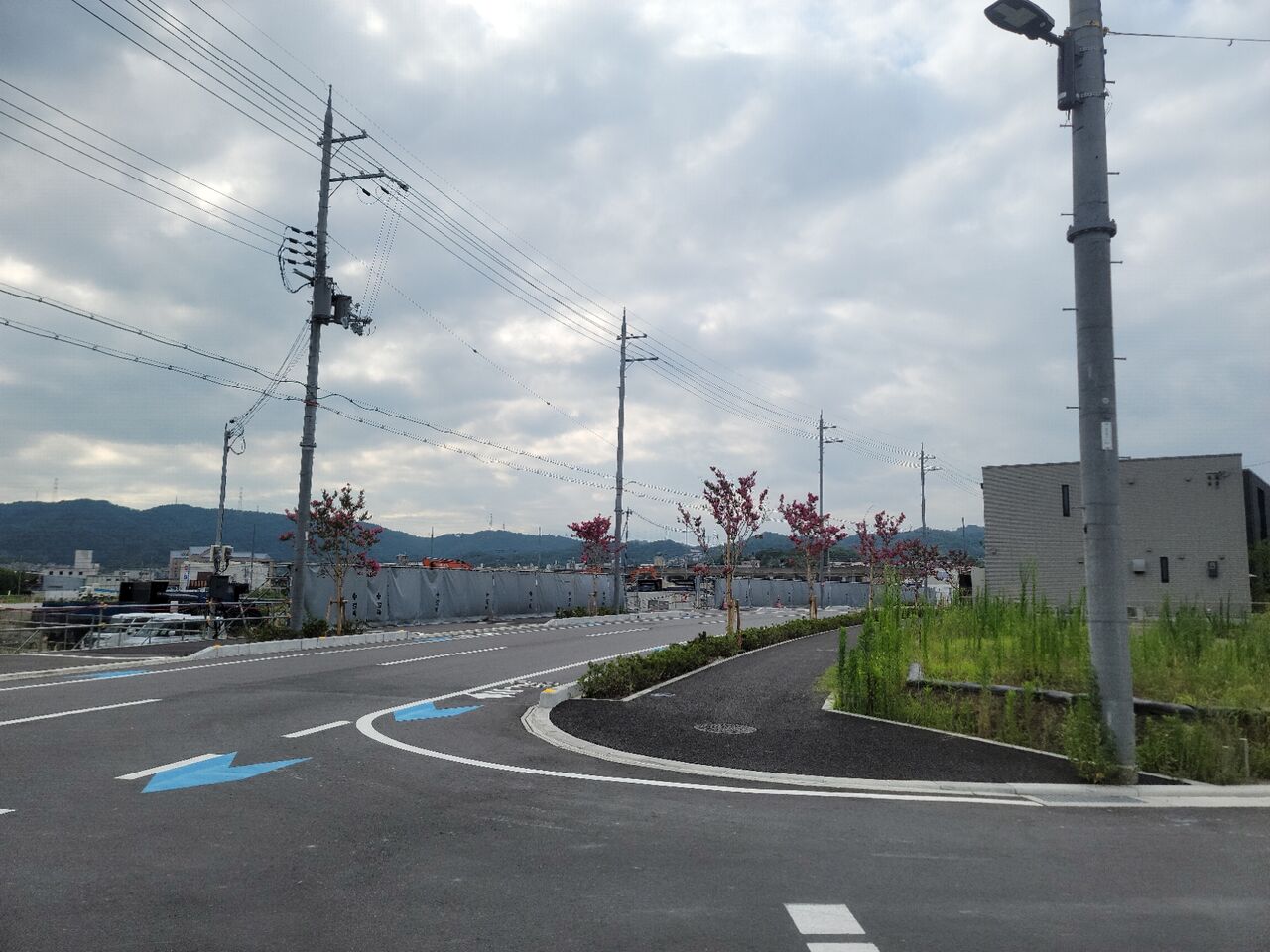交野市星田北にできた都市計画道路星田駅前線の街路樹は、百日紅(さるすべり)でした。 第二京阪学研都市線紹介 交野市星田北にできた都市計画道路星田駅前線の街路樹は、百日紅(さるすべり)でした。 第二京阪学研都市線紹介