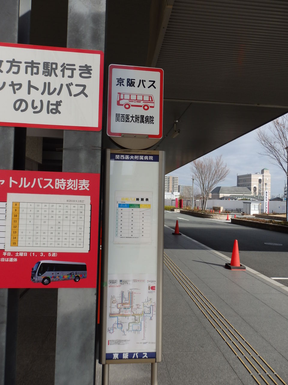 19年08月05日 交野が原道草 19年08月05日 交野が原道草