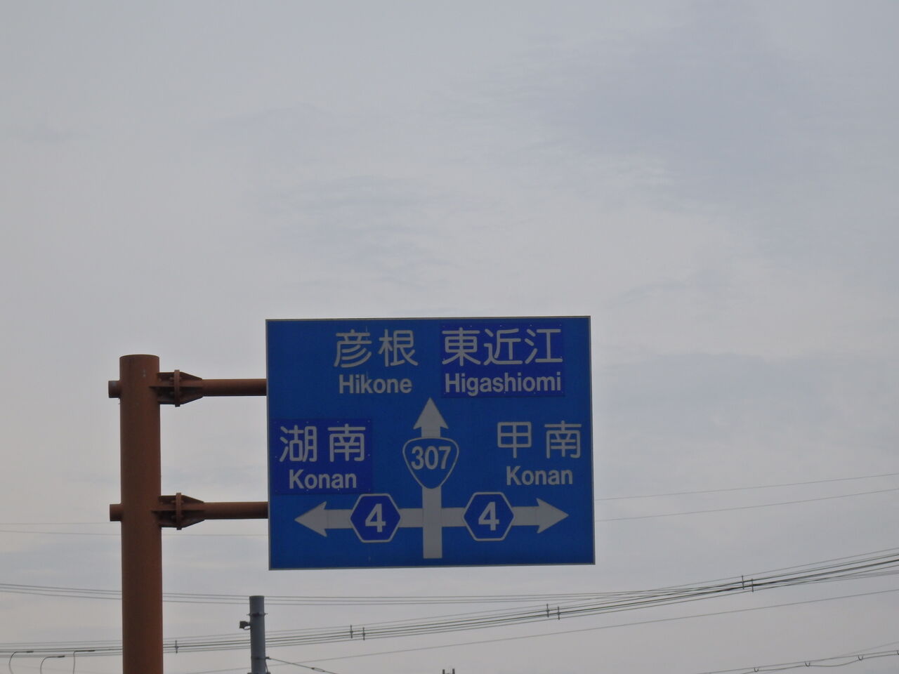 風景写真 右も左も 交野が原道草