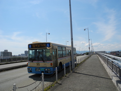 DSCN4302