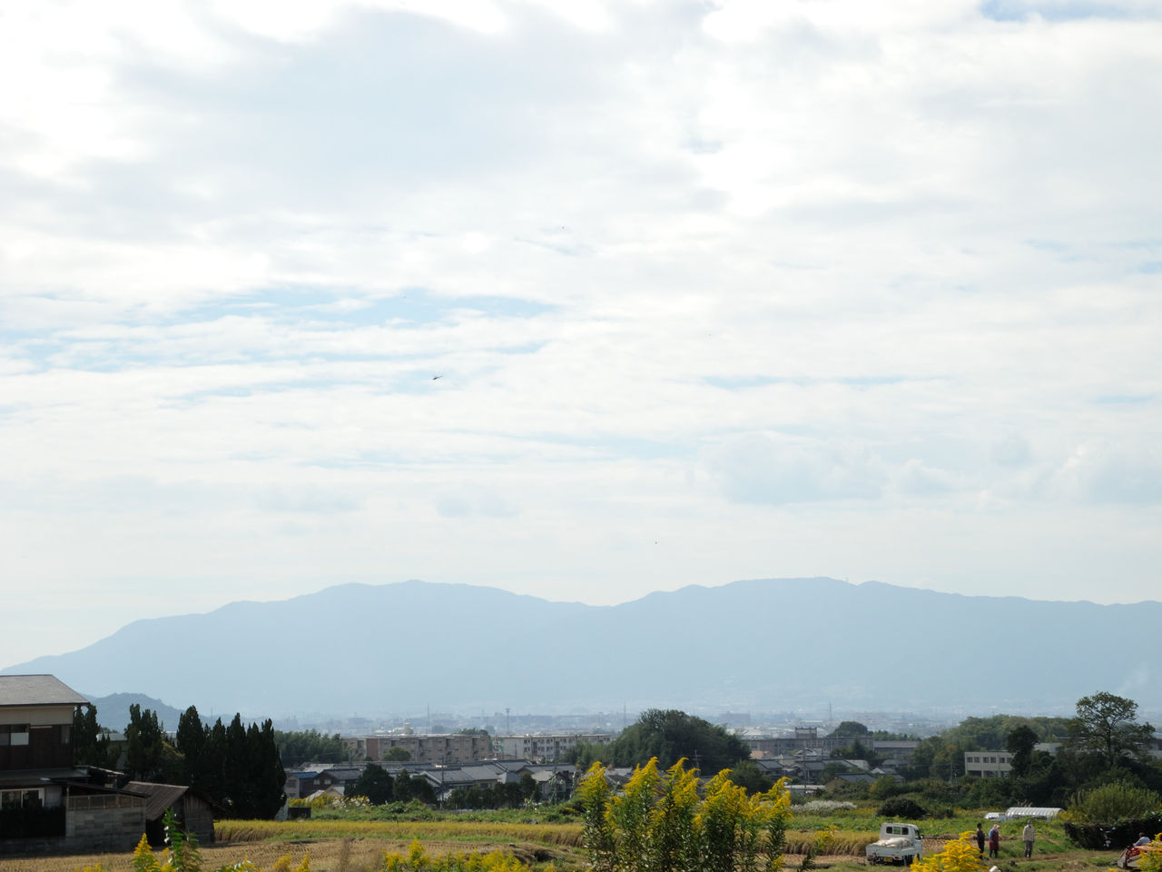 奈良盆地を快適に抜ける方法を考える 交野が原道草 奈良盆地を快適に抜ける方法を考える 交野が原道草