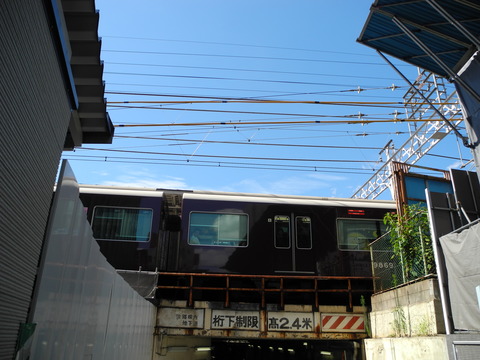 DSCN6408