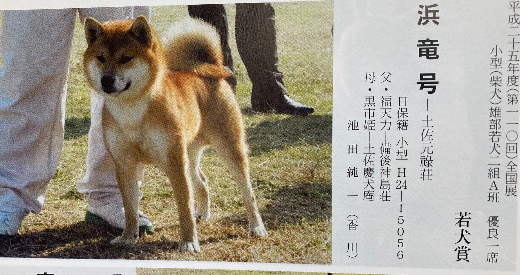 内閣総理大臣受賞犬 : 日本犬保存会 まんのう荘