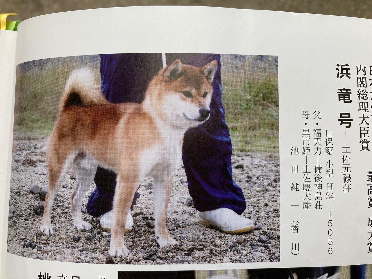 社団法人　日本犬保存会ブロンズ像です。34年前。とても貴重品！大幅値下げです。 119回 全国展覧会 入賞犬写真 – 公益社団法人 日本犬保存会