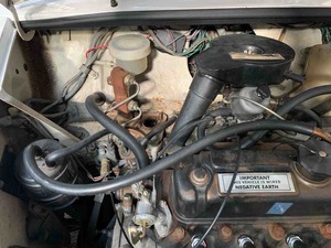 IMG_8692