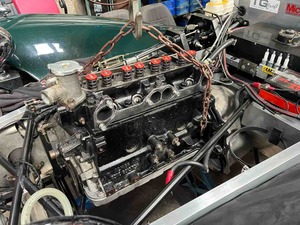 IMG_8267