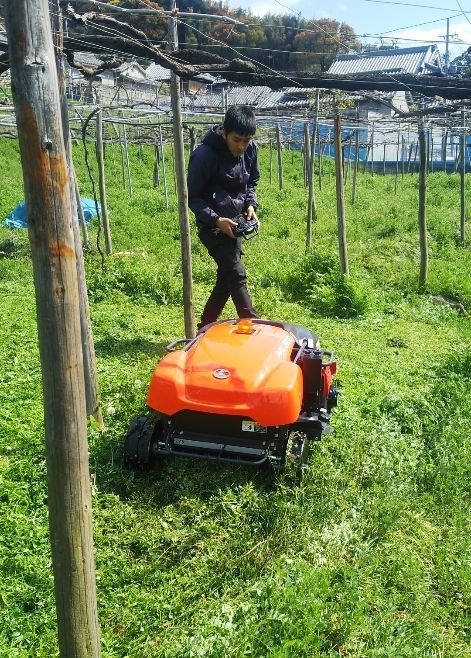 草刈りロボット登場 こだわり醸造家のつぶやき