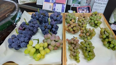 ffc16a812c05b373601a9023c1d2d022-IMG_2023-08-26-09-11-14-296