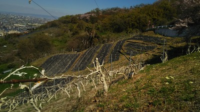 20190415_1