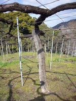 20110218_2